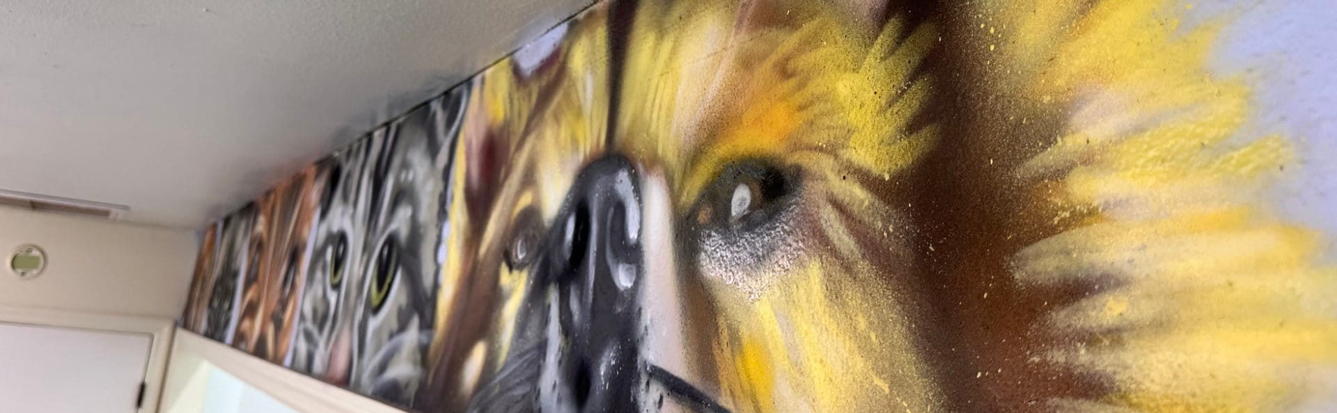 Artwork in the Franklin County Humane Shelter