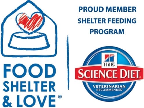 Shelter Feeding Program by Science Diet