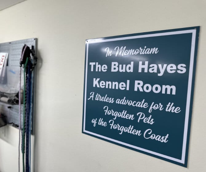 Bud Hayes Kennel Room sign