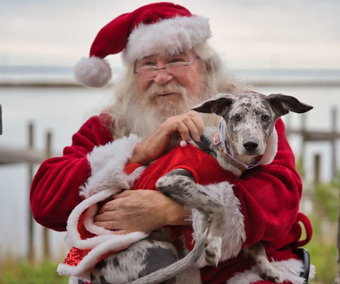 Santa holding pup